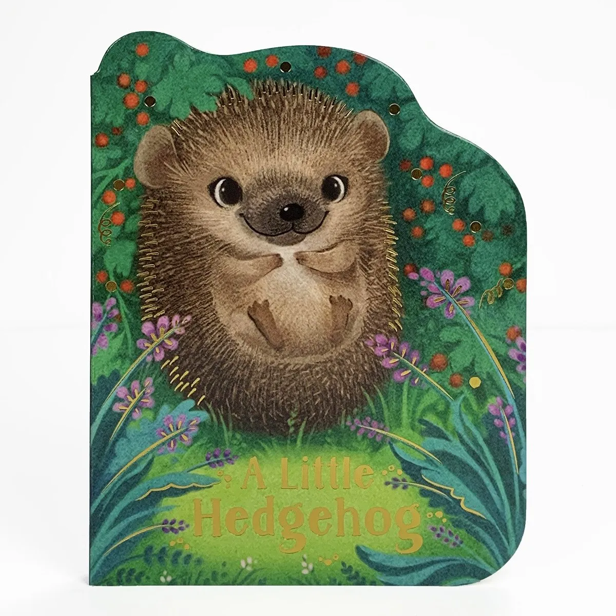 A Little Hedgehog Board Book