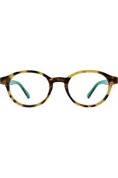 Aqua and Tortoise Reading Glasses