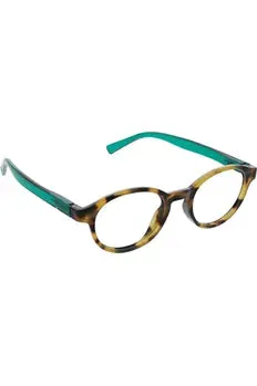 Aqua and Tortoise Reading Glasses