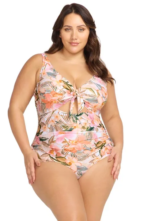 Artesands Cezanne D/DD Underwire One Piece - Ti Tania