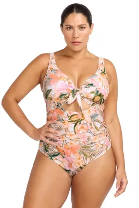 Artesands Cezanne D/DD Underwire One Piece - Ti Tania