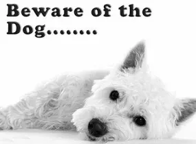 Beware of the West Highland Terrier Sign