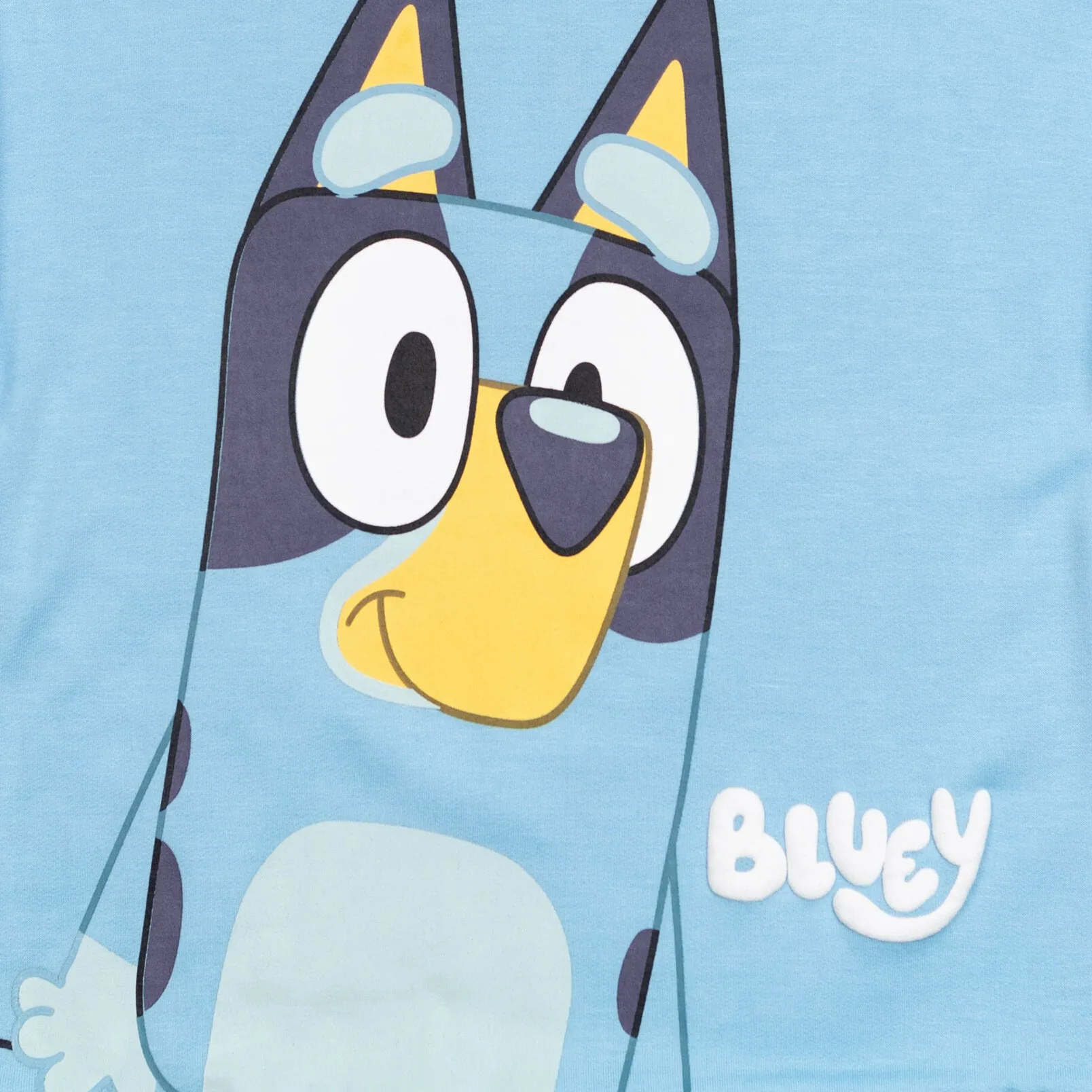 Bluey Hoodie and Pants Outfit Set