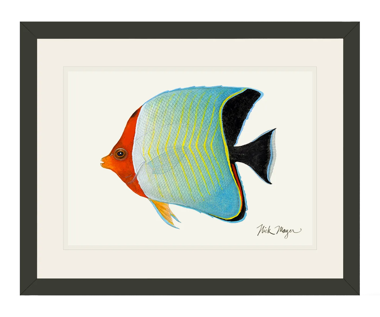 Hooded Butterflyfish Print - NEW