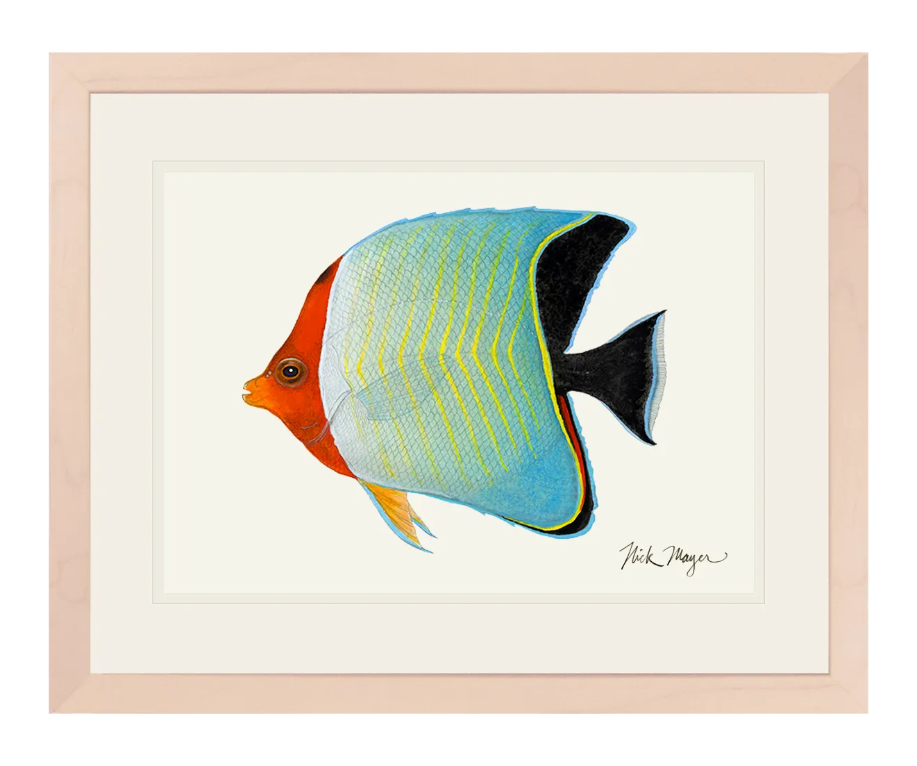 Hooded Butterflyfish Print - NEW