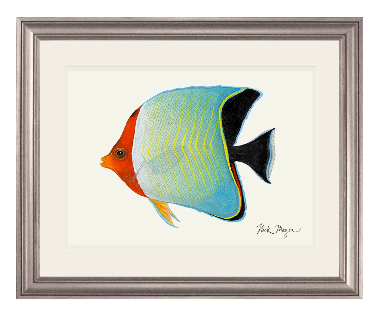 Hooded Butterflyfish Print - NEW