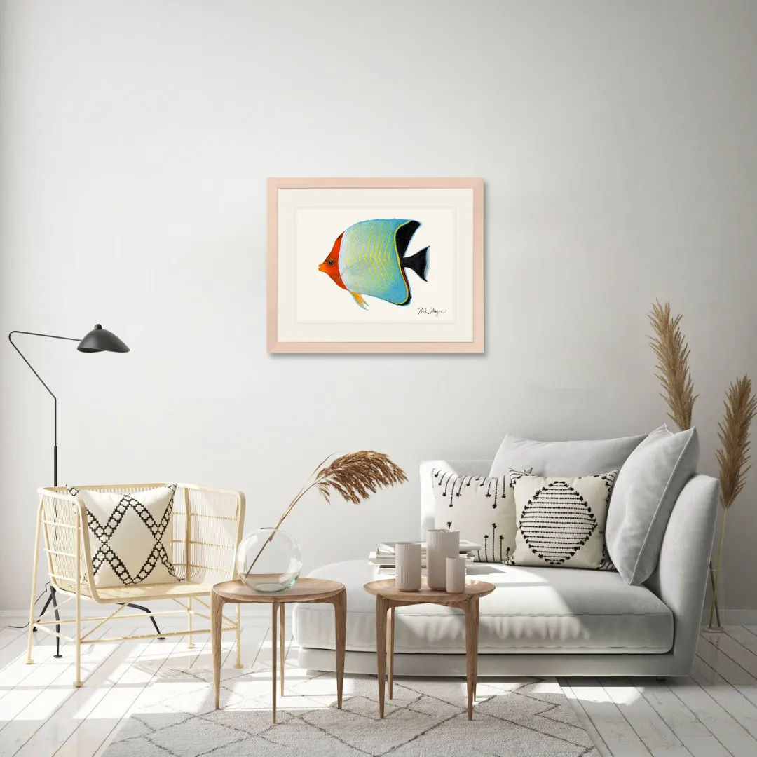 Hooded Butterflyfish Print - NEW