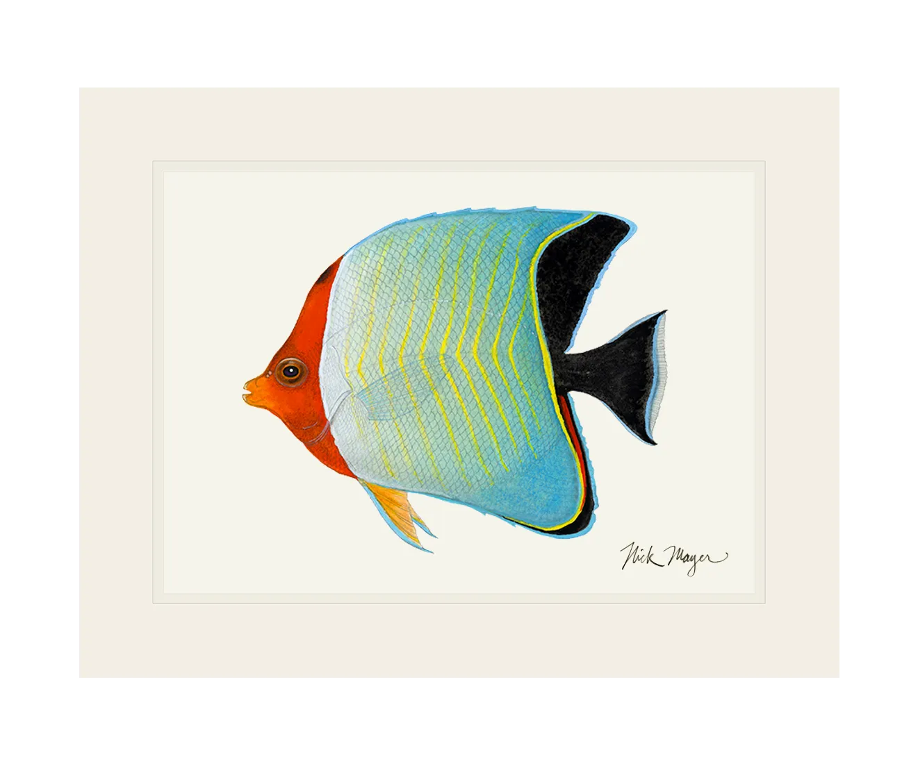 Hooded Butterflyfish Print - NEW