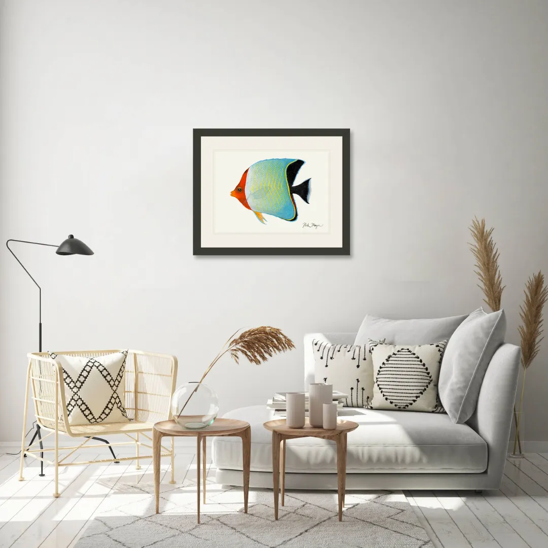 Hooded Butterflyfish Print - NEW