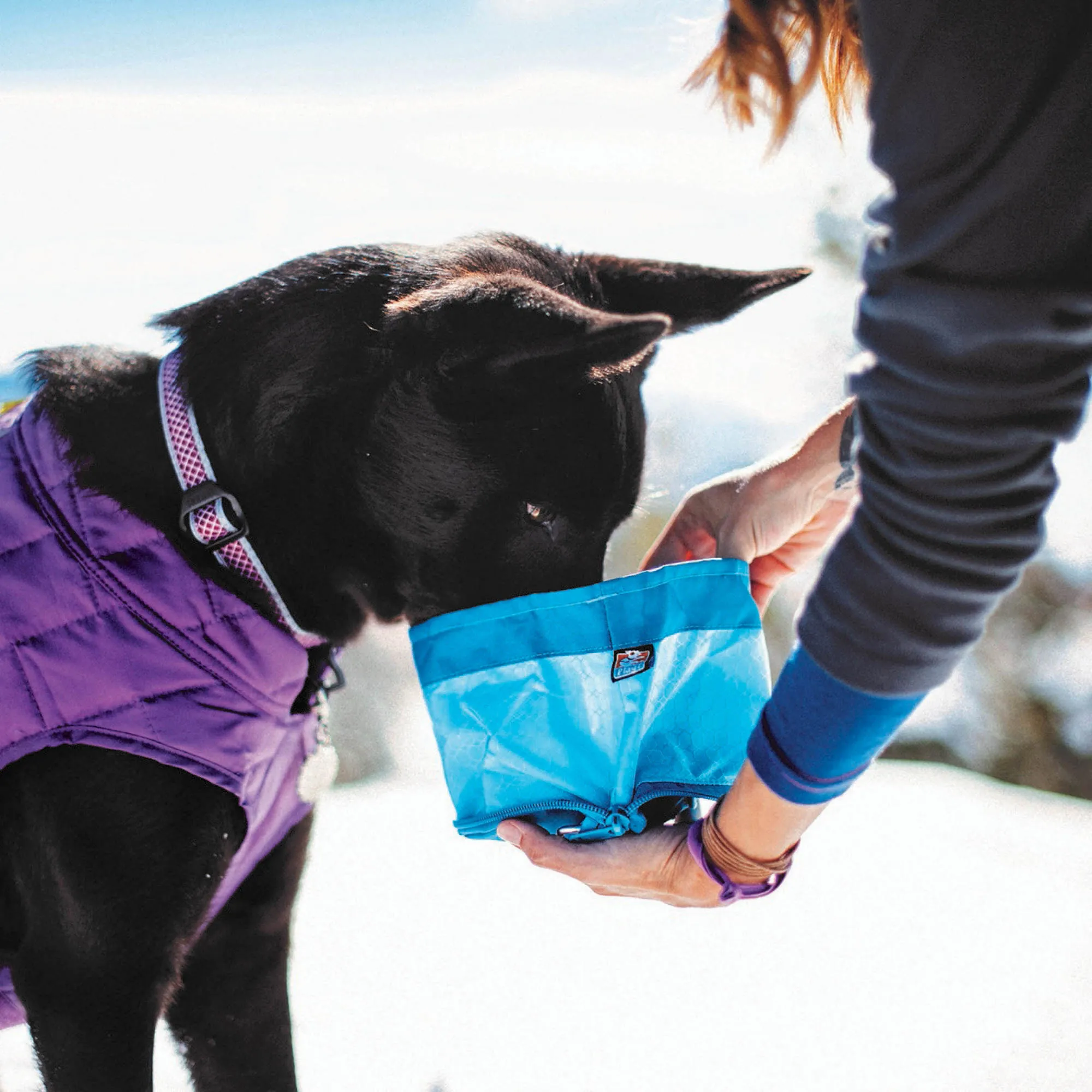 Kurgo Zippy Bowl for Dogs - Blue