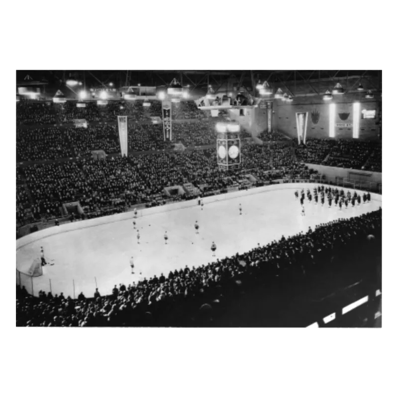 Maple Leaf Gardens Seat Watch