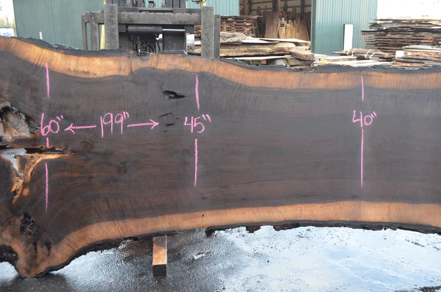 Oregon Black Walnut Slab 030221-04