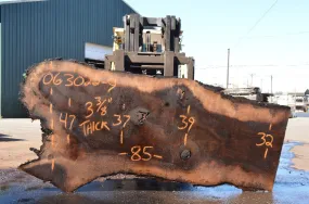 Oregon Black Walnut Slab 063022-09