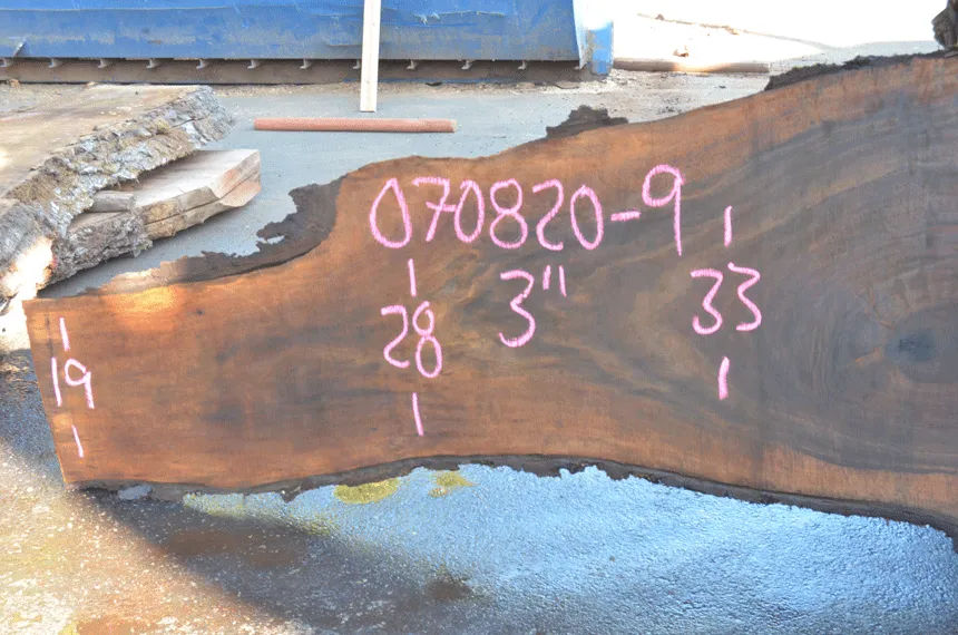 Oregon Black Walnut Slab 070820-09