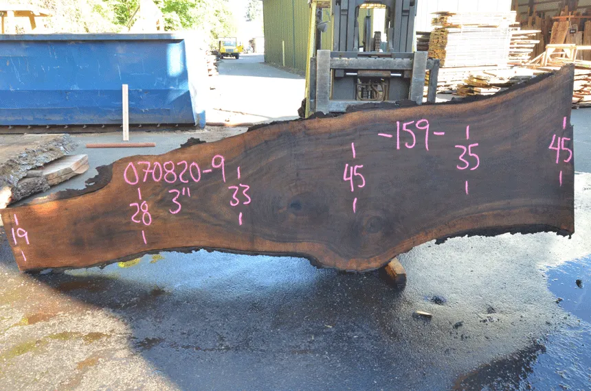 Oregon Black Walnut Slab 070820-09